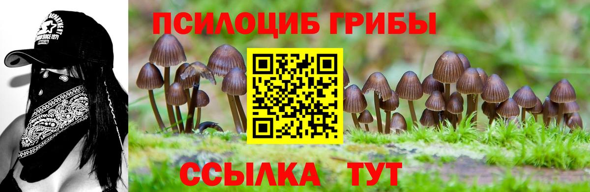 Галлюциногенные грибы MAGIC MUSHROOMS  Вход с VPN  Новосибирск 